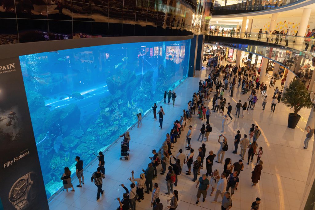dubai mall's attraction the aquarium
