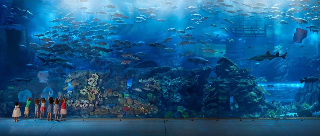 dubai underwater zoo