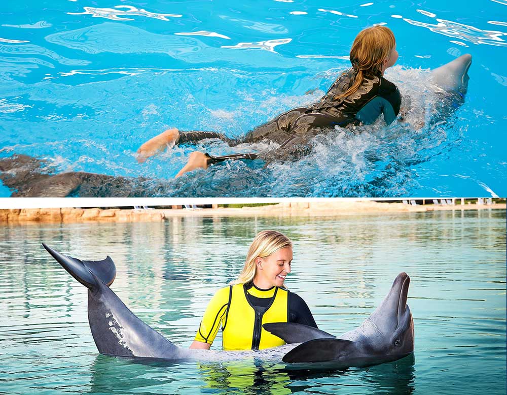 swimming with dolphins at dubai dolphinarium