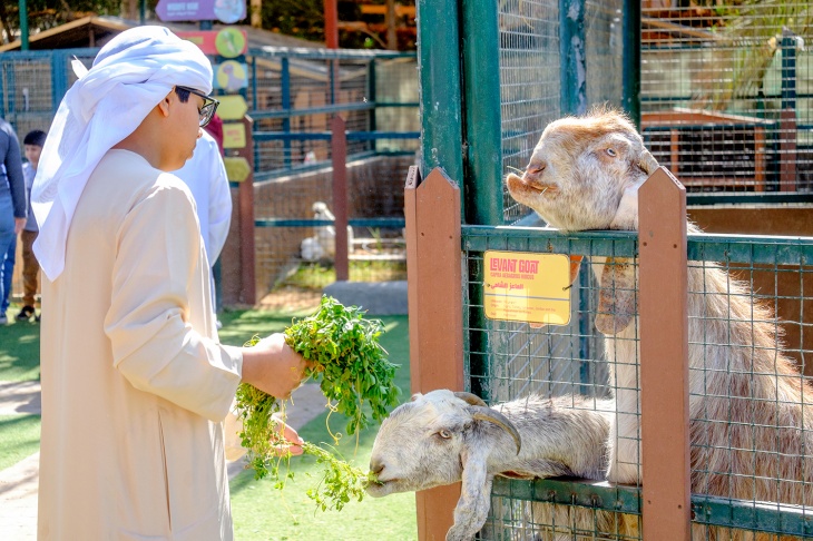 petting zoo at emirates park zoo
